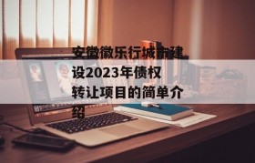 安徽徽乐行城市建设2023年债权转让项目的简单介绍