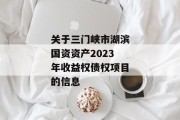 关于三门峡市湖滨国资资产2023年收益权债权项目的信息