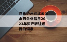 包含泸州纳溪云溪水务企业信用2023年资产转让项目的词条