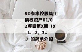 SD泰丰控股集团债权资产01/02项目第X期（X=1、2、3...）的简单介绍