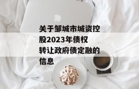 关于邹城市城资控股2023年债权转让政府债定融的信息