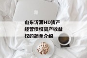 山东沂源HD资产经营债权资产收益权的简单介绍