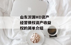 山东沂源HD资产经营债权资产收益权的简单介绍