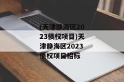 (天津静海区2023债权项目)天津静海区2023债权项目招标