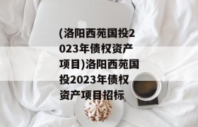 (洛阳西苑国投2023年债权资产项目)洛阳西苑国投2023年债权资产项目招标