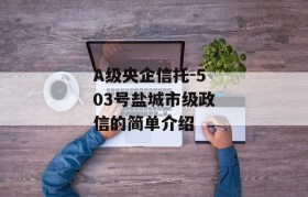 A级央企信托-503号盐城市级政信的简单介绍