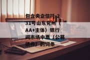 包含央企信托-231号山东兖州（AA+主体）银行间市场中票（公募债券）的词条