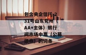 包含央企信托-231号山东兖州（AA+主体）银行间市场中票（公募债券）的词条