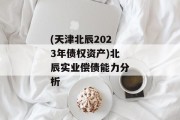 (天津北辰2023年债权资产)北辰实业偿债能力分析