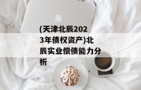 (天津北辰2023年债权资产)北辰实业偿债能力分析