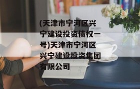 (天津市宁河区兴宁建设投资债权一号)天津市宁河区兴宁建设投资集团有限公司