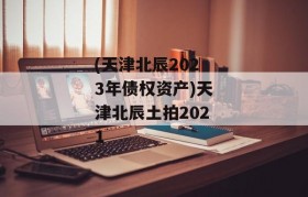 (天津北辰2023年债权资产)天津北辰土拍2021