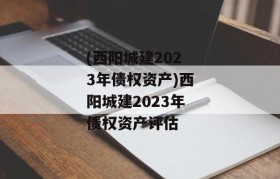 (西阳城建2023年债权资产)西阳城建2023年债权资产评估