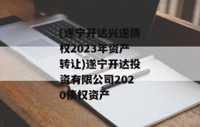 (遂宁开达兴遂债权2023年资产转让)遂宁开达投资有限公司2020债权资产