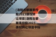 (洛阳古都丽景控股2023债权转让项目)洛阳古都丽景控股2023债权转让项目中标