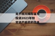 关于四川绵阳富乐投资2023年特定资产拍卖的信息