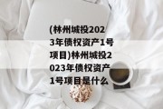 (林州城投2023年债权资产1号项目)林州城投2023年债权资产1号项目是什么