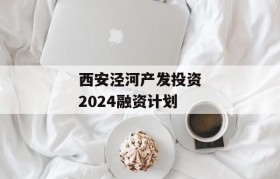 西安泾河产发投资2024融资计划