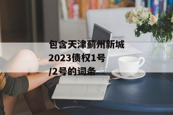 包含天津蓟州新城2023债权1号/2号的词条