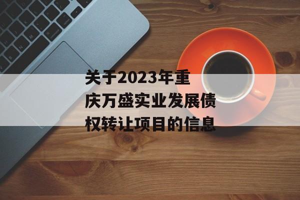 关于2023年重庆万盛实业发展债权转让项目的信息