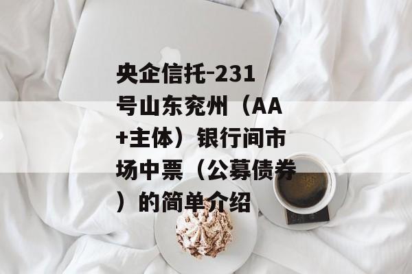 央企信托-231号山东兖州（AA+主体）银行间市场中票（公募债券）的简单介绍