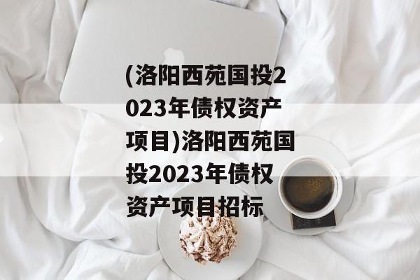 (洛阳西苑国投2023年债权资产项目)洛阳西苑国投2023年债权资产项目招标